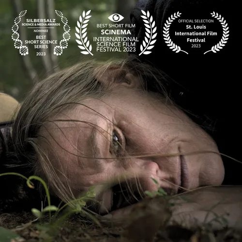 Ammodo festival tour